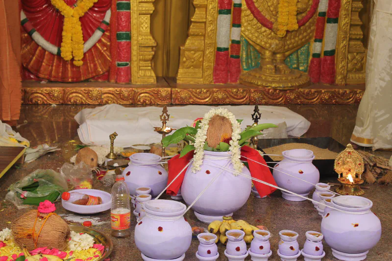 Weddings and functions, photo 3