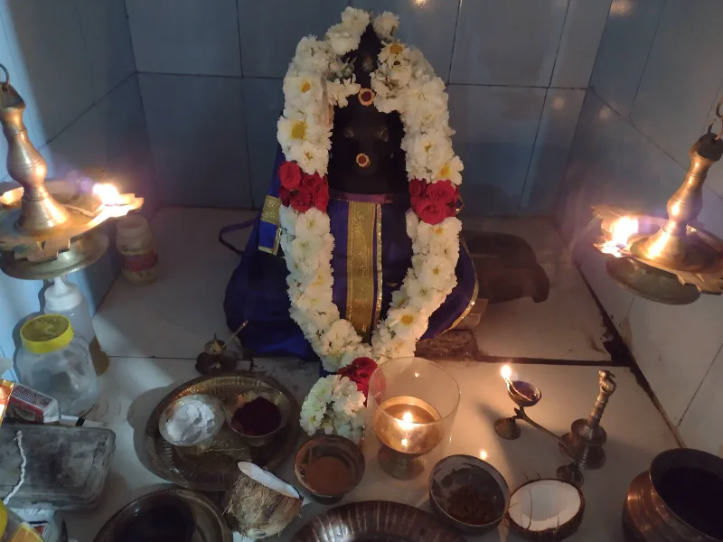 Around the mandapam, photo 51